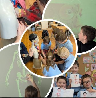 Nauki ścisłe w kl. 2a