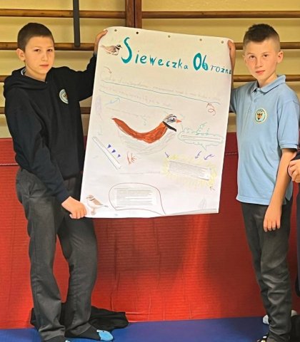 Podsumowanie Brązowej Szkoły (11).jpg