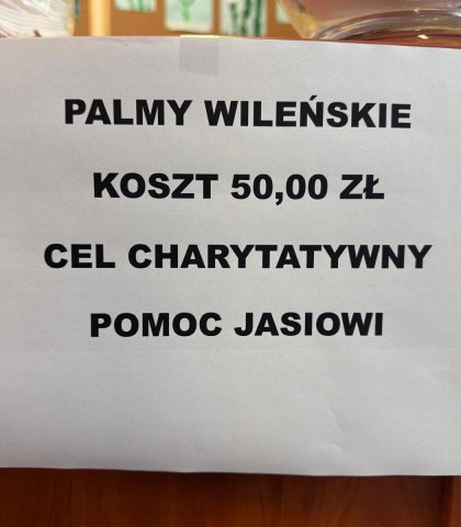 Palmy wileńskie (3).jpeg
