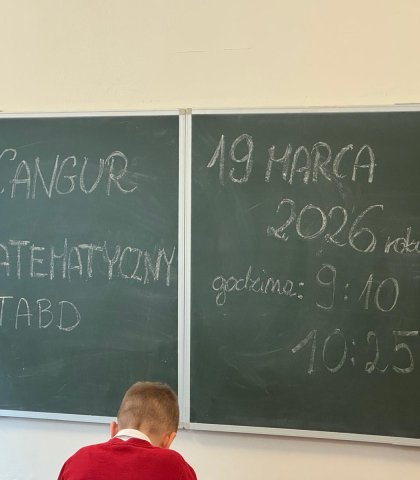 Kangur matematyczny (1).jpeg