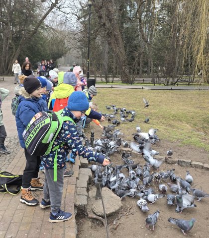 Szukanie wiosny w Parku Oliwskim (7).jpeg