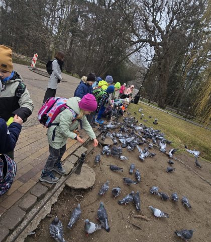 Szukanie wiosny w Parku Oliwskim (8).jpeg