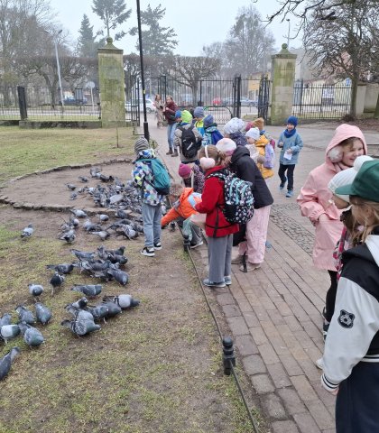 Szukanie wiosny w Parku Oliwskim (21).jpeg