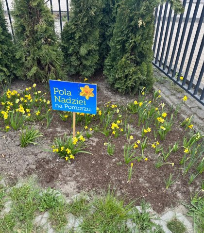 Ostatnie przygotowania do akcji (2).jpeg