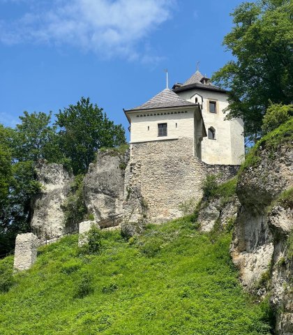 Zielona Szkoła kl. VII-VIII (11).jpeg