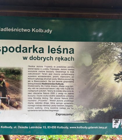 Brązowa Szkoła - klasa V (155).jpeg