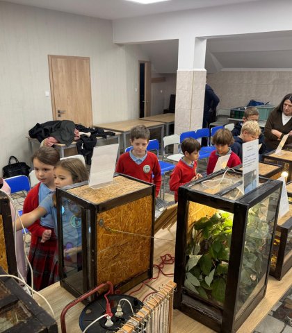 Pokaz zwierząt egzotycznych (12).jpeg
